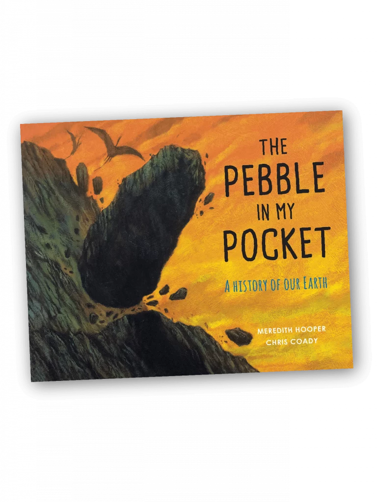 The Pebble In My Pocket Book Cover