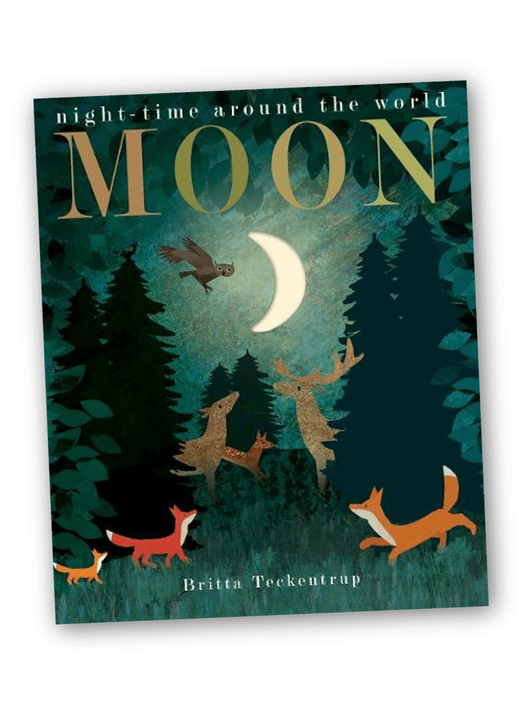 Moon Book Cover